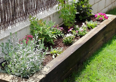 imagen empresa de jardinería en Segovia